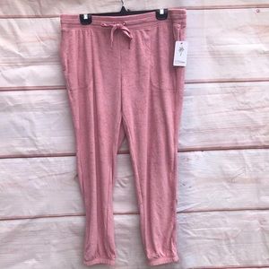 P.J. Salvage velvet sweatpants